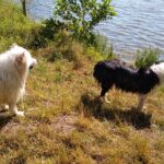 IMG_20190702_162051280